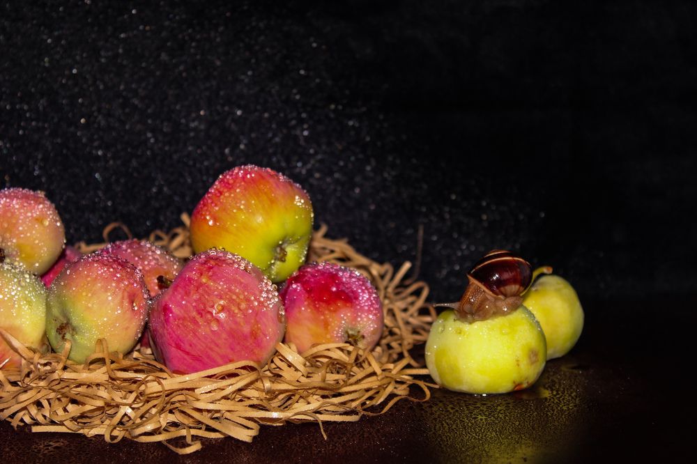 Photograph by Ирина Дмитриенко