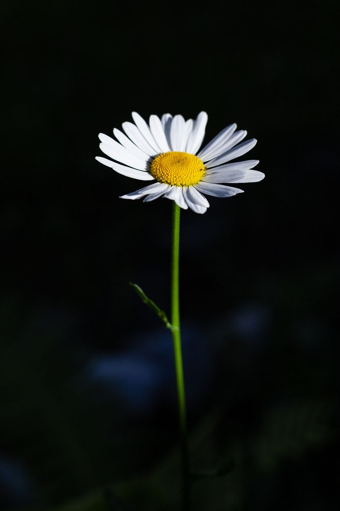 Photograph by Григорий Шишонков