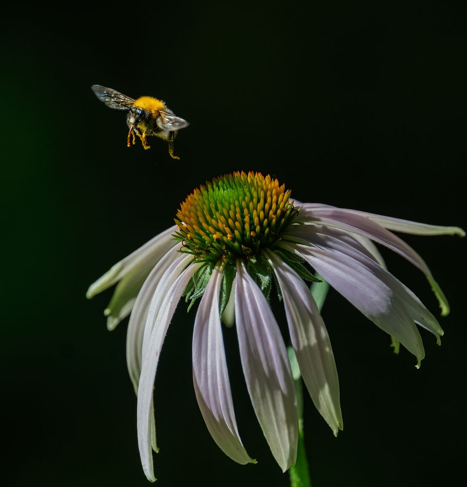 Photograph by Курлянцев Алексей