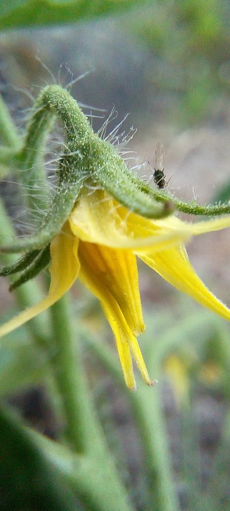 Фотография автора Марина Новикова