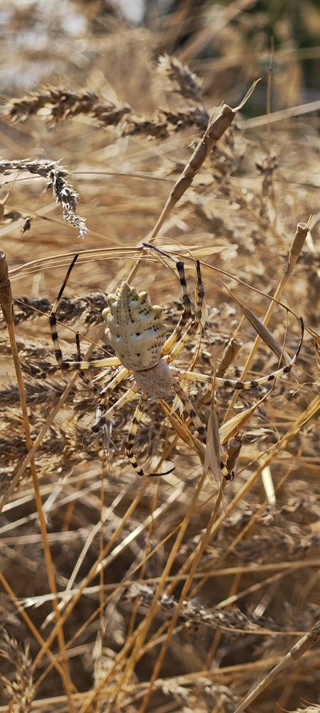 Photograph by Анна Курлова