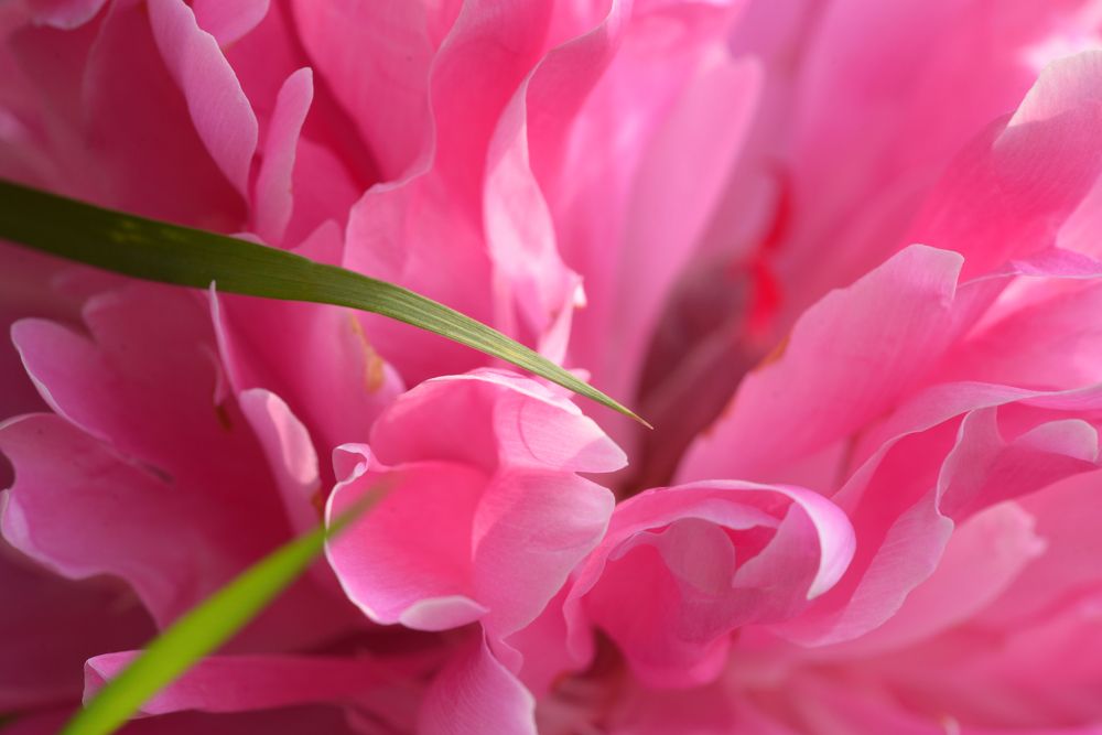 Photograph by Татьяна Кужаниязова