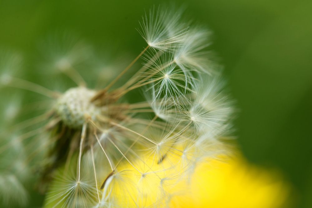 Photograph by Татьяна Кужаниязова