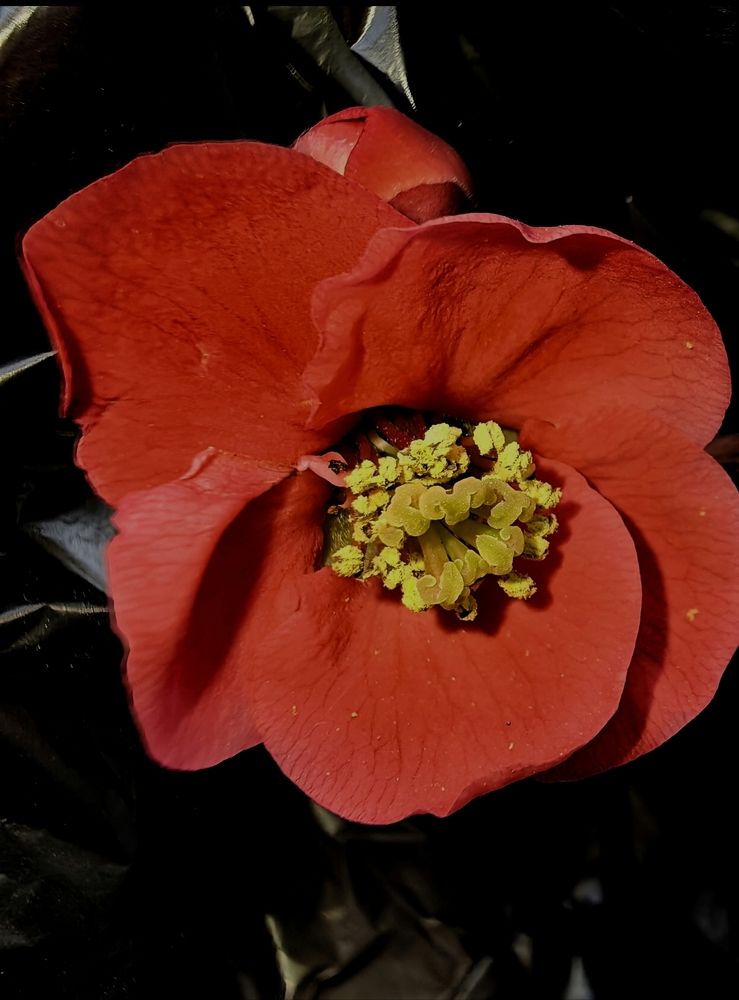 Photograph by Ирина Тихая