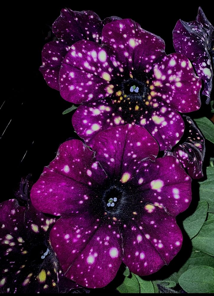 Photograph by Ирина Тихая