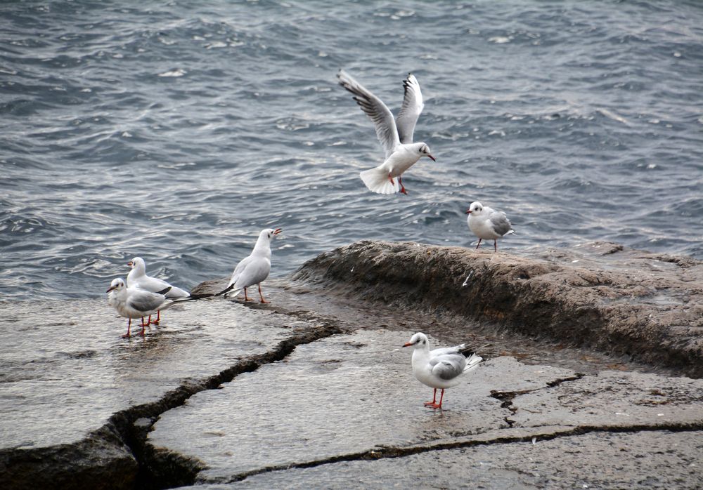 Photograph by Екатерина Крючкова