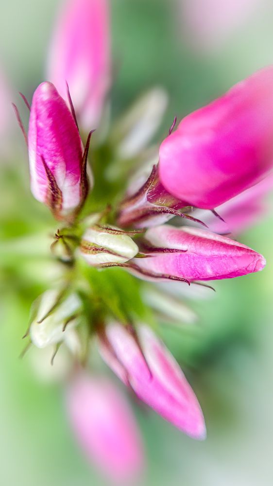 Photograph by Людмила Казак