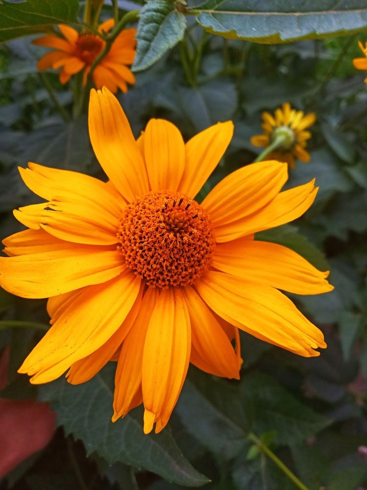 Photograph by Настя Настена