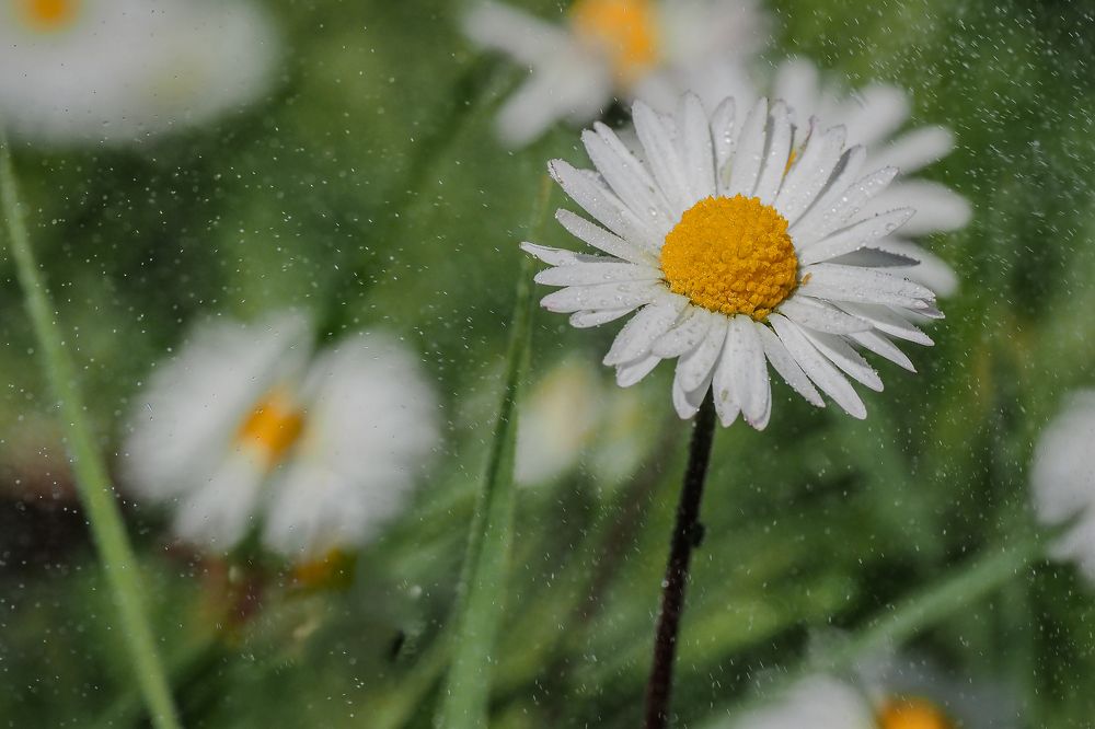 Photograph by Serdar AVCI