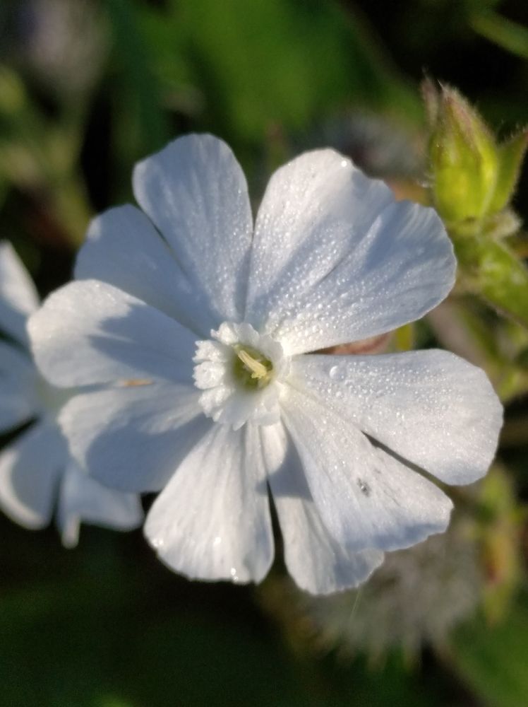 Photograph by Елена Коробченко
