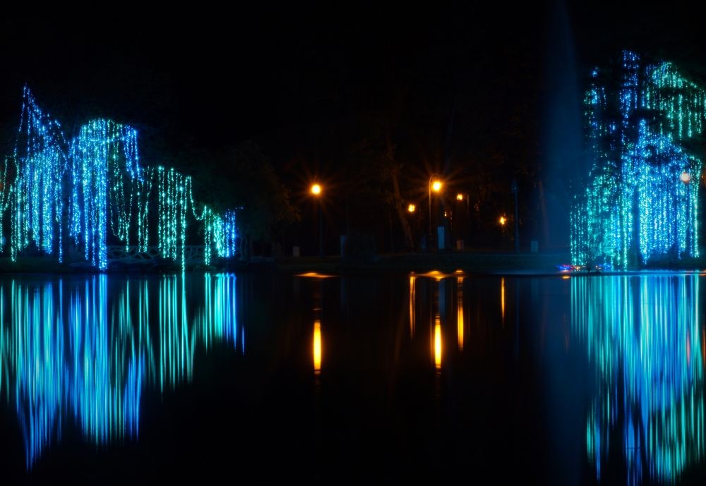 Photograph by Dragos Ivanel