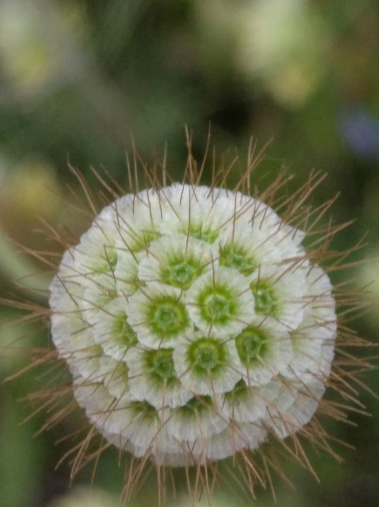 Photograph by Елена Коробченко