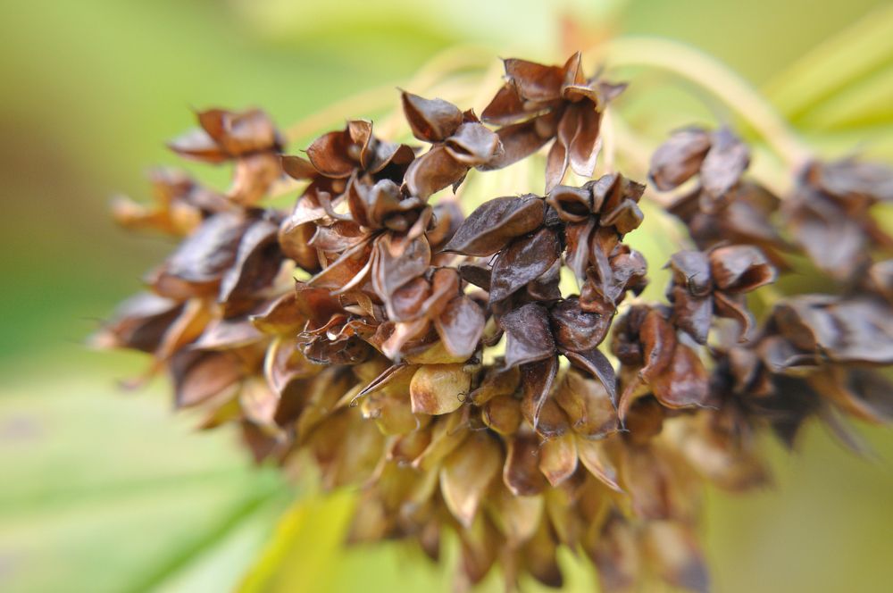 Photograph by Оксана Астрова