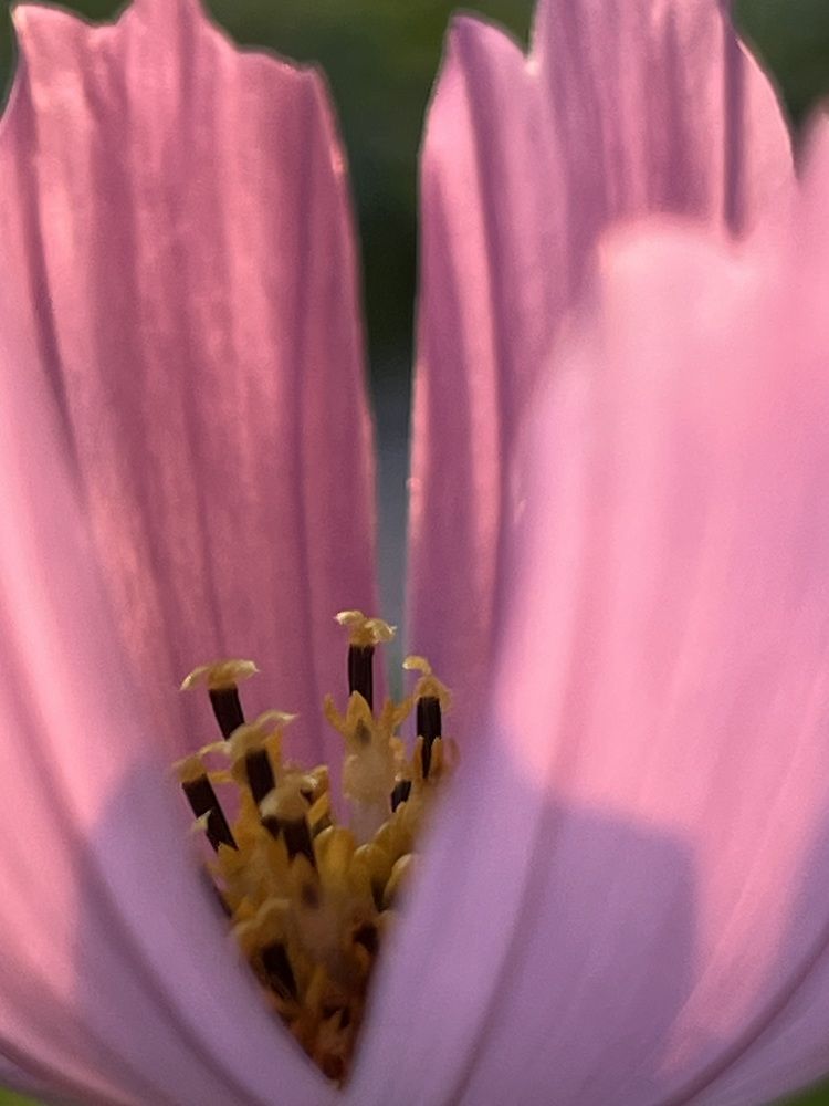 Photograph by Екатерина Букаева