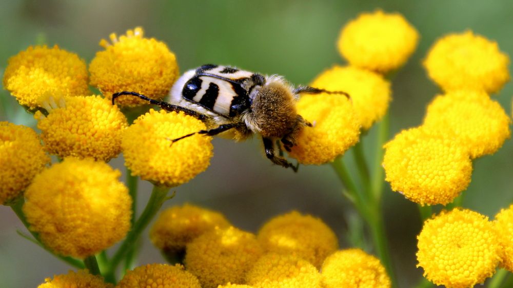 Photograph by Алексей Макаров