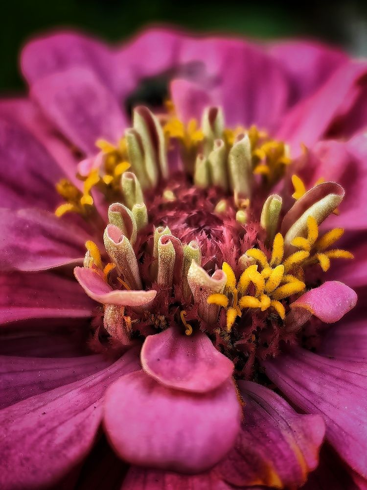 Photograph by Сергей Зайцев