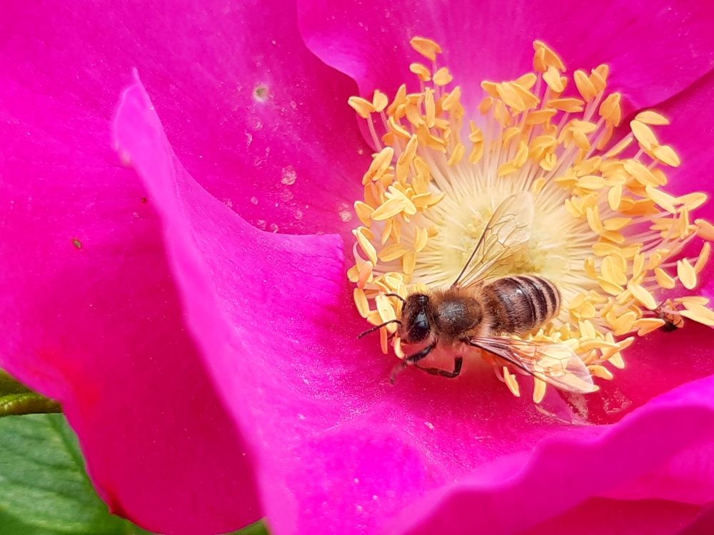 Photograph by Екатерина