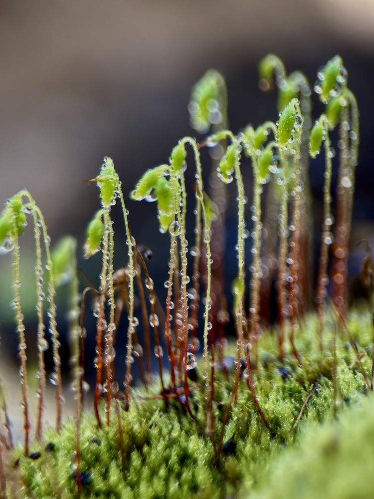 Photograph by Юлия Зель-Жилинская