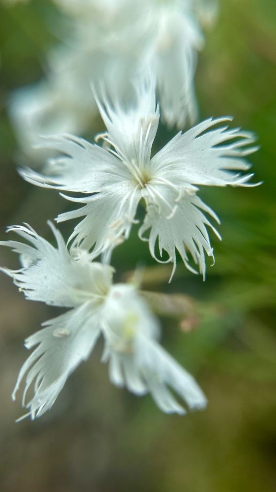 Photograph by Юлия Зель-Жилинская