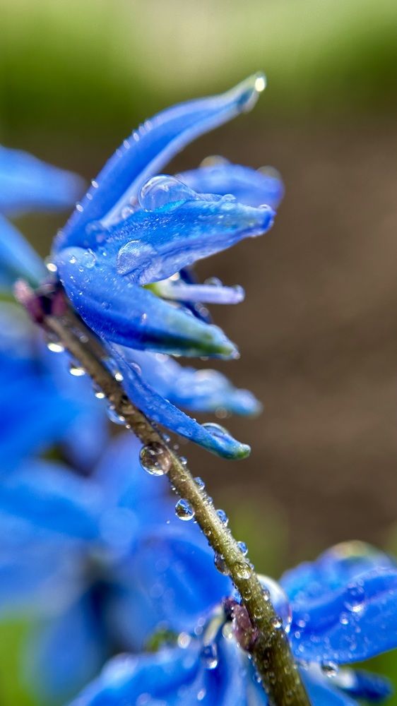 Photograph by Юлия Зель-Жилинская