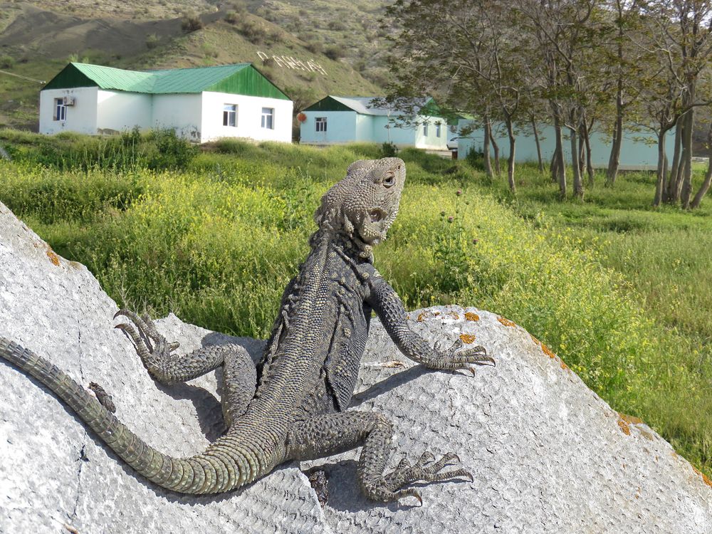 Photograph by Игорь Ломов