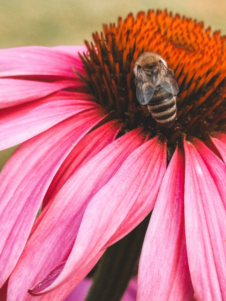 Photograph by Marina Zvada