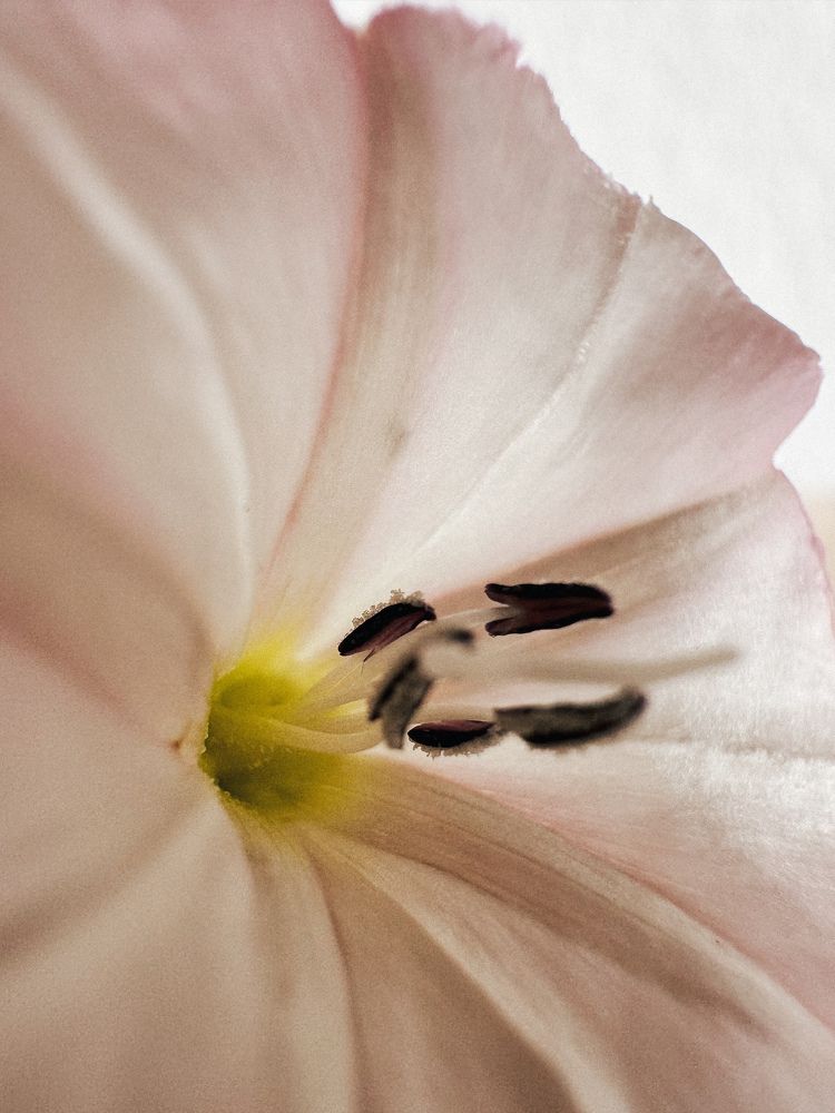 Photograph by Marina Zvada