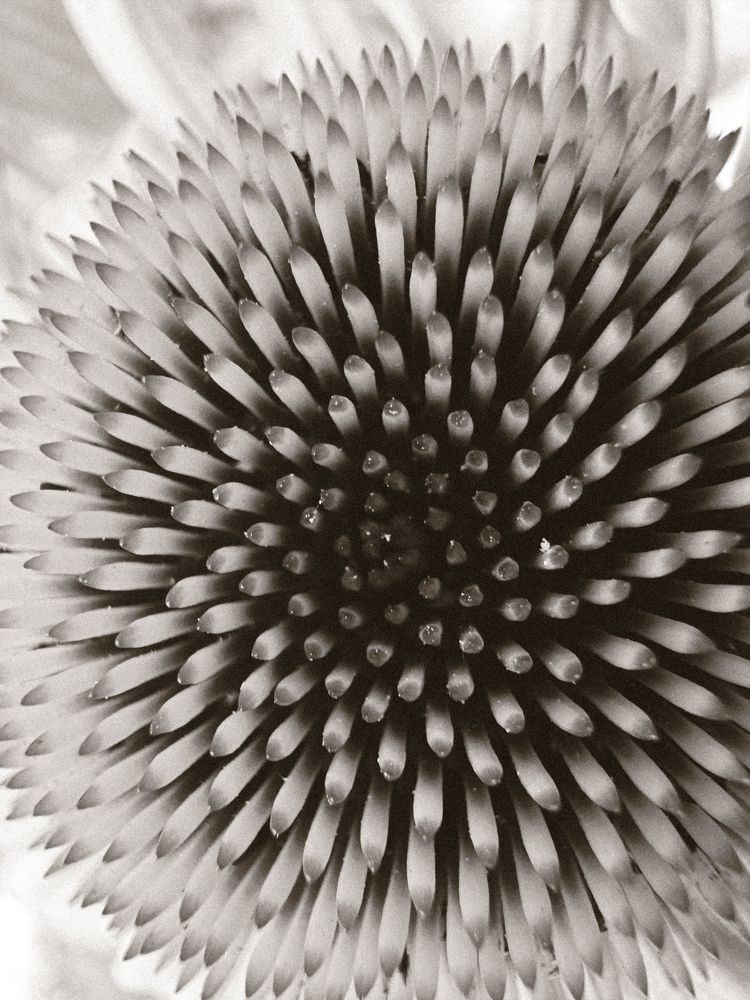 Photograph by Marina Zvada