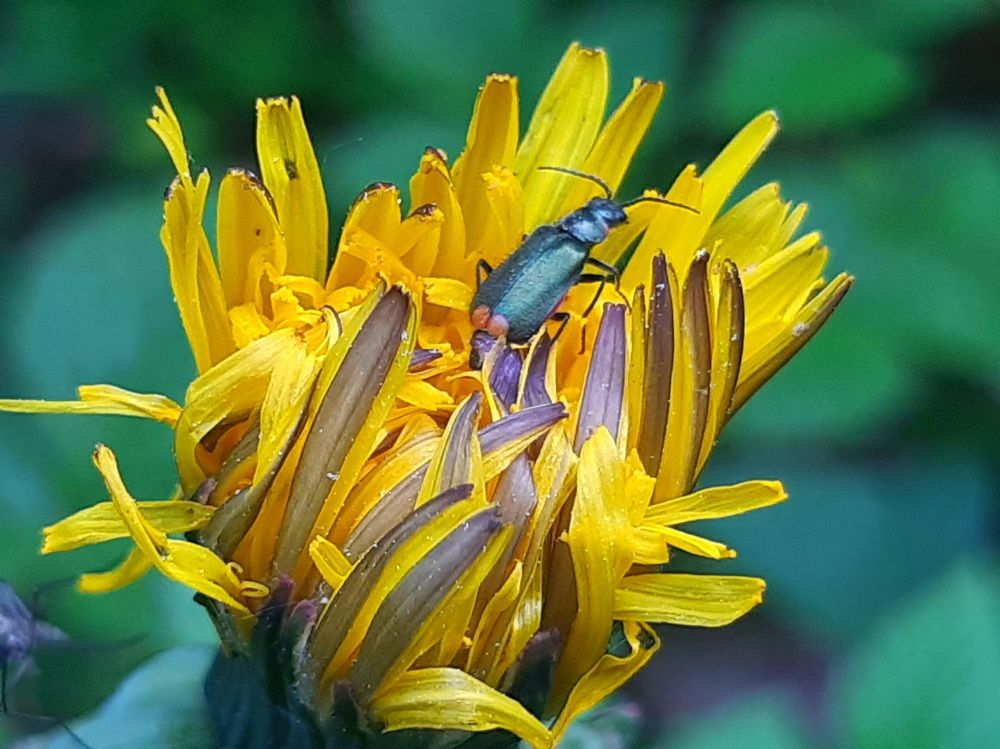 Photograph by Екатерина