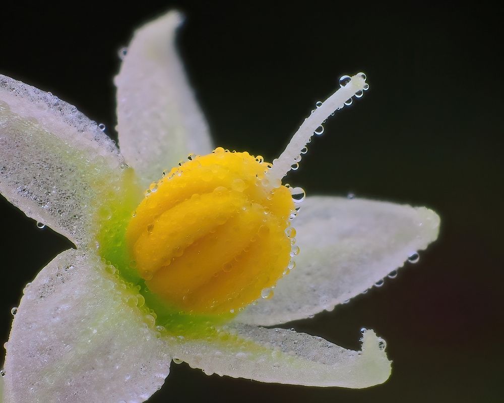 Photograph by Li Chen-You