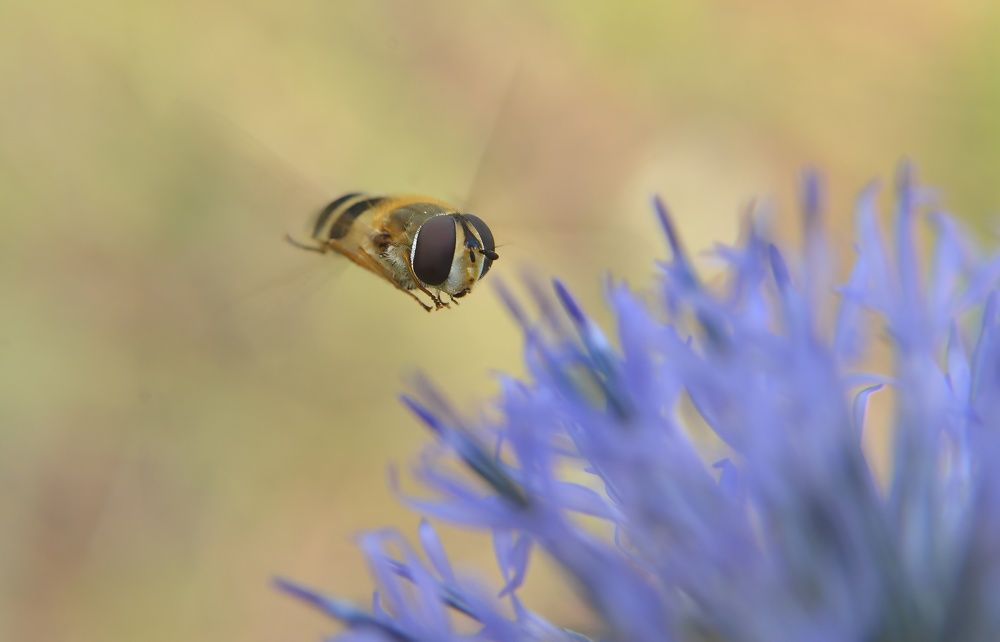 Photograph by Алексей Volg