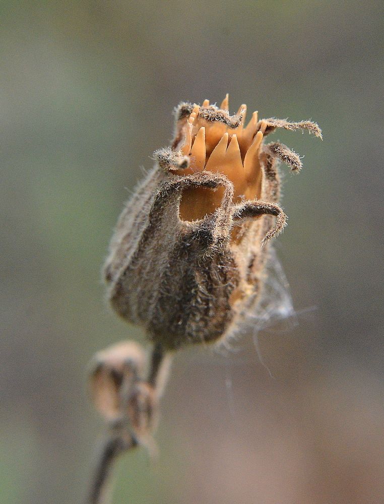 Photograph by Алексей Volg