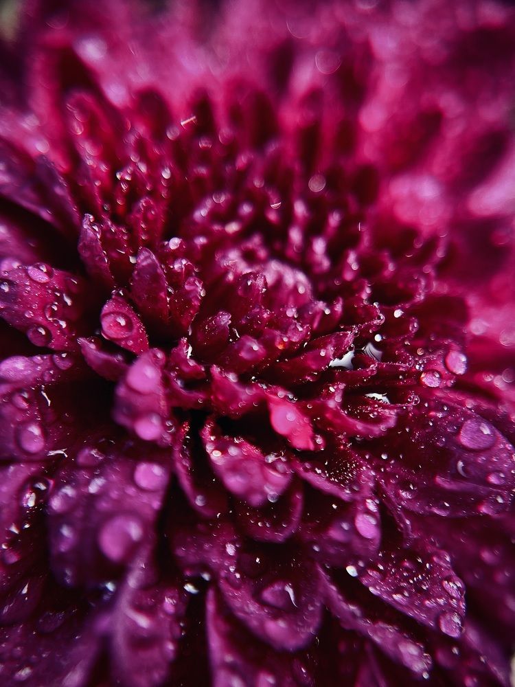 Photograph by Jai Shankar Chirivella