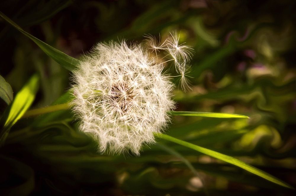 Photograph by Юлия Вялкова