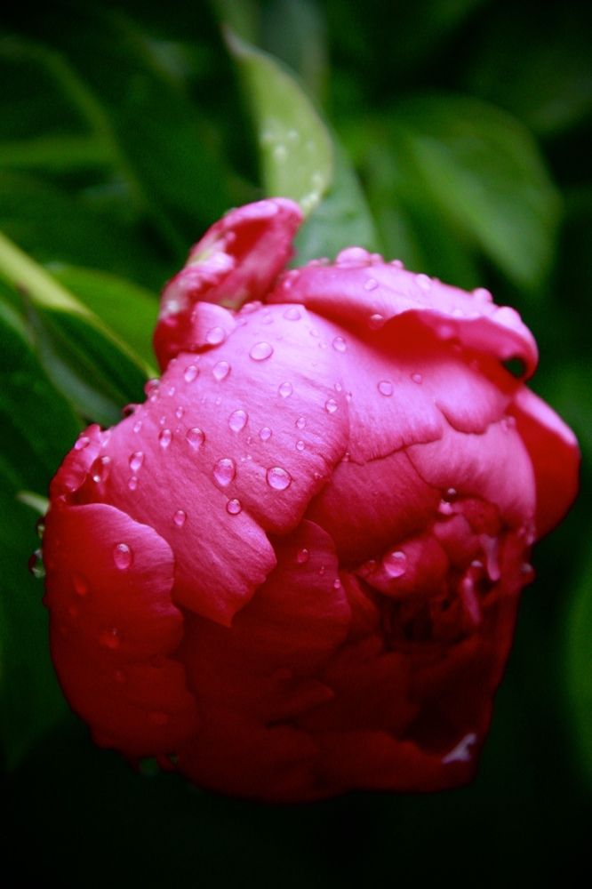 Photograph by Юлия Вялкова