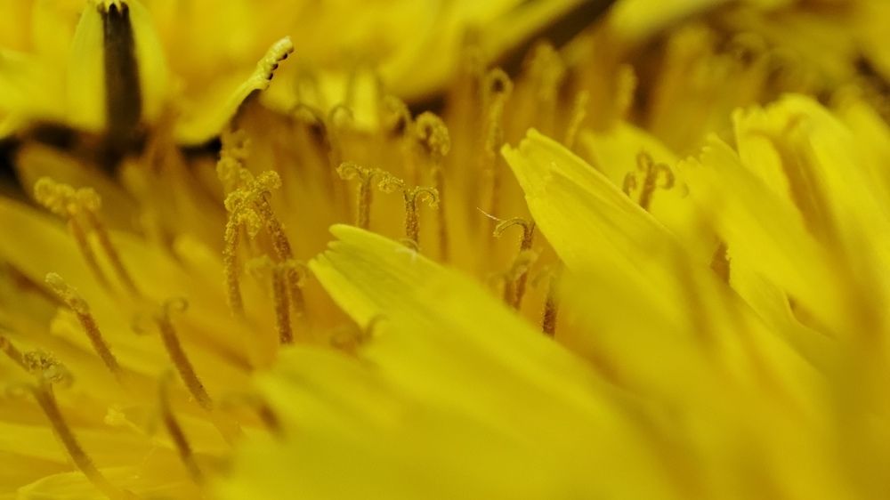 Photograph by Калюнова Наталья