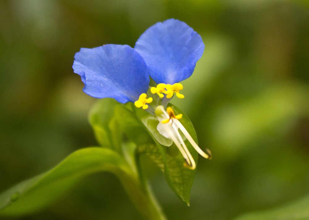 Photograph by Светлана Гришакова