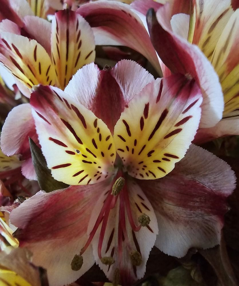 Photograph by Светлана