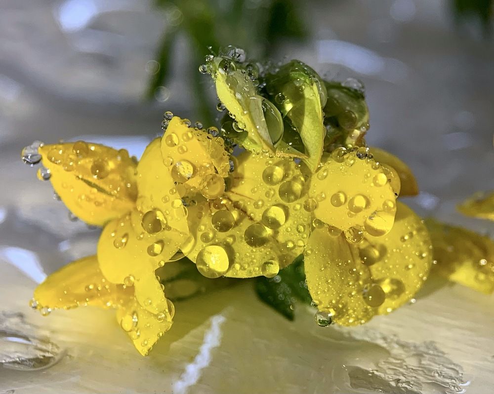 Photograph by Надежда Смирнова