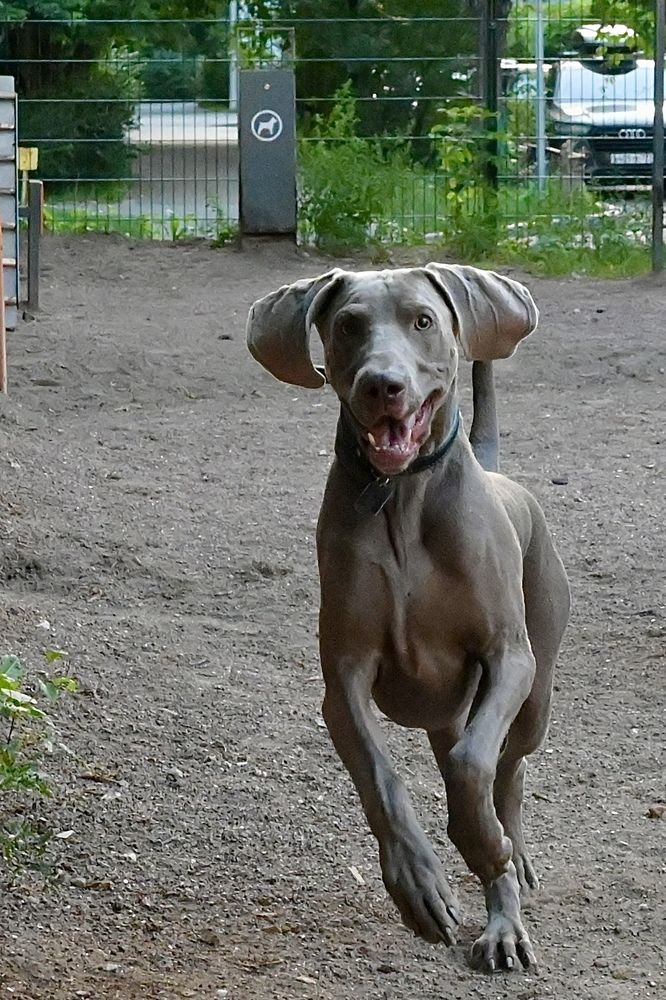 Photograph by Olga Brilevskaya