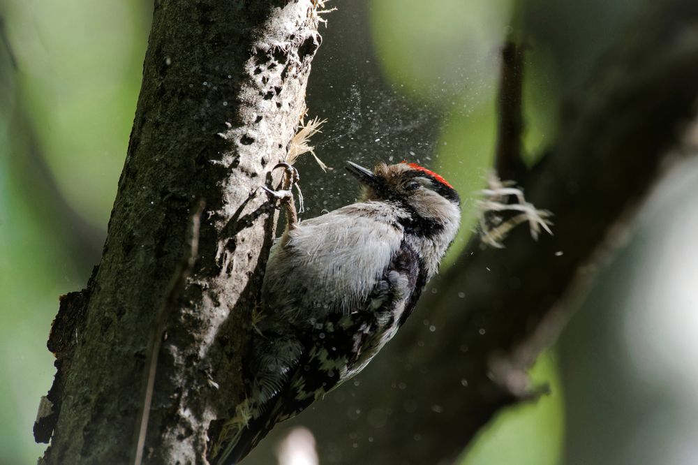 Фотография автора Семоха Валерий
