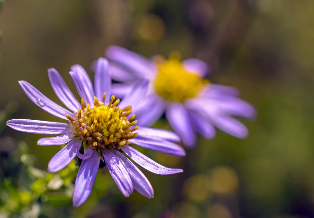 Фотография автора Андрей Жданов