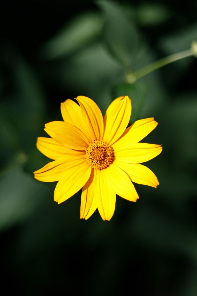 Photograph by Елена Копылова