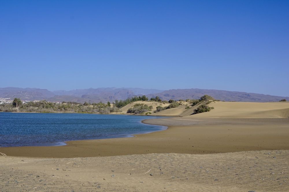 Фотография автора Liudmila Kiermeier