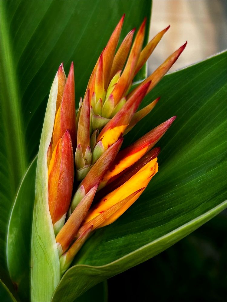 Photograph by Марина Мишутина