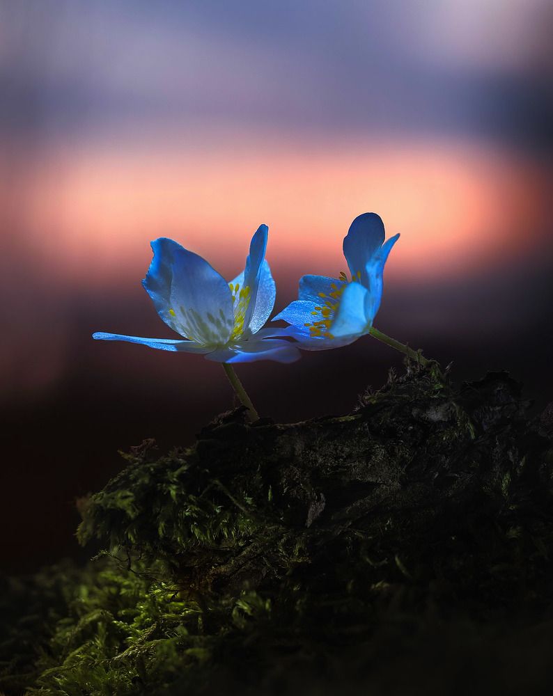 Photograph by Лукашук Евгений