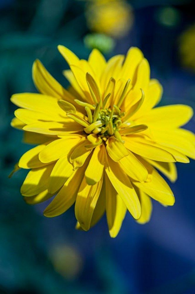 Фотография автора Виталий Дузь