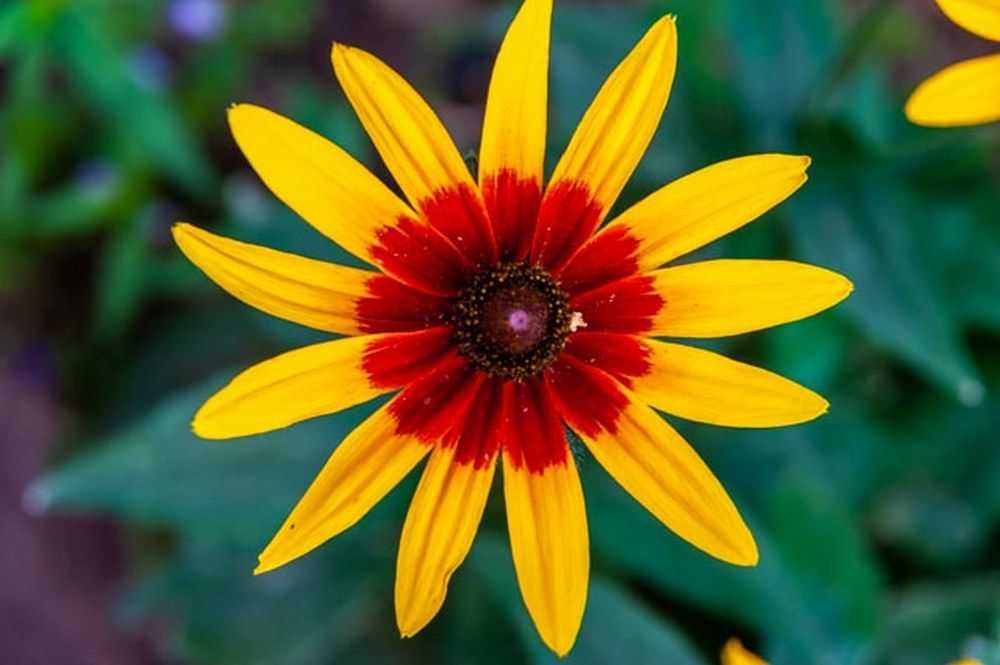 Фотография автора Виталий Дузь