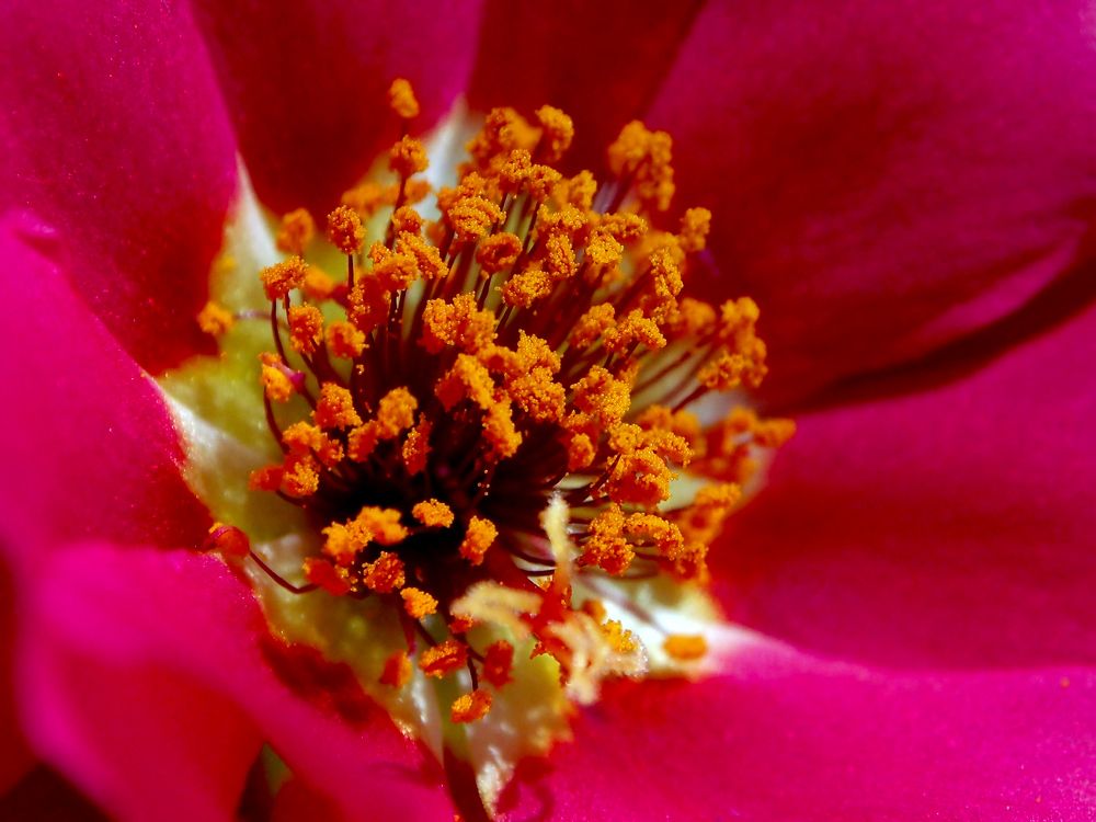 Photograph by Abdolreza Aleagha