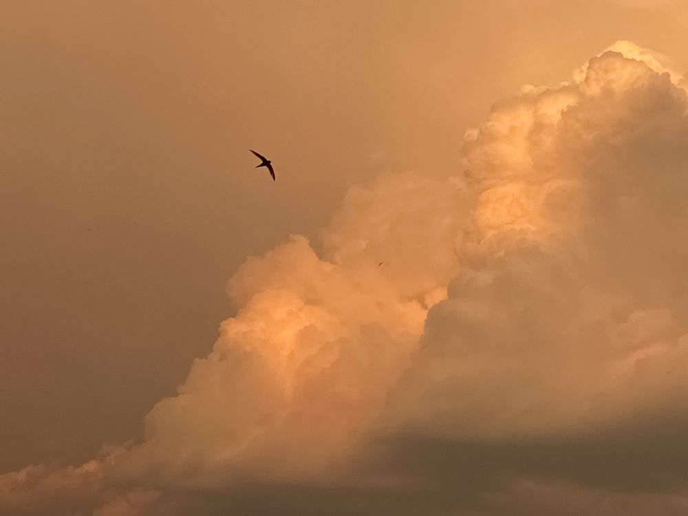 Photograph by Дарья Махнёва